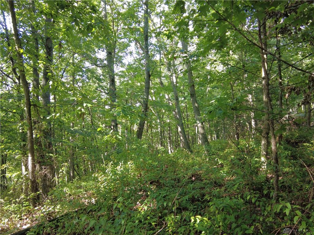 159 Ac Twin Valley Property Photo 14