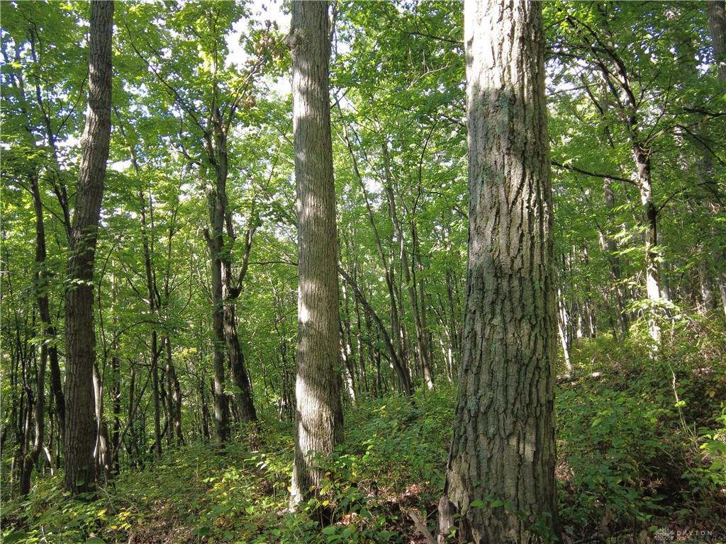 159 Ac Twin Valley Property Photo 15
