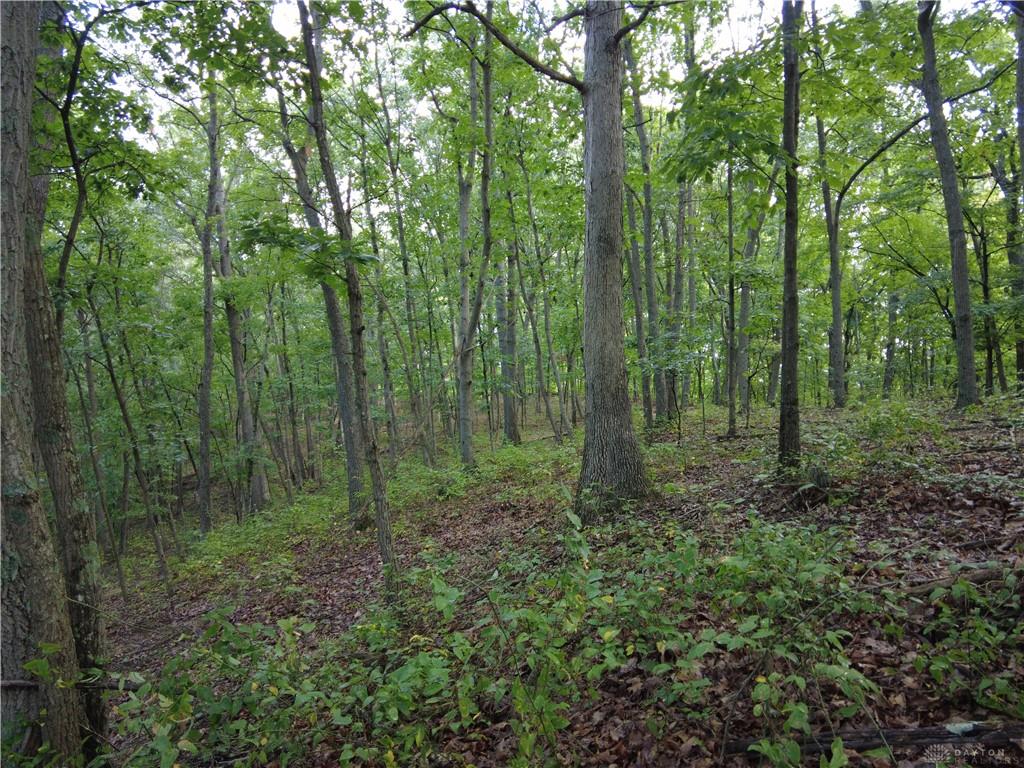 159 Ac Twin Valley Property Photo 17