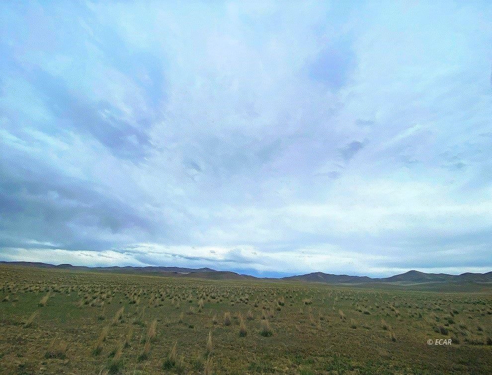 40 Acres Willow Corral Pass Road Property Photo