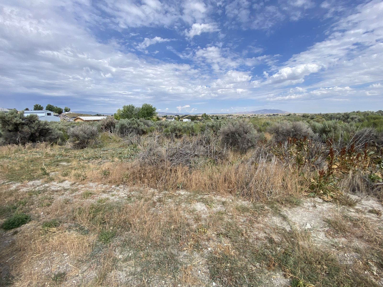 431 Country Club Plaza Property Photo 1