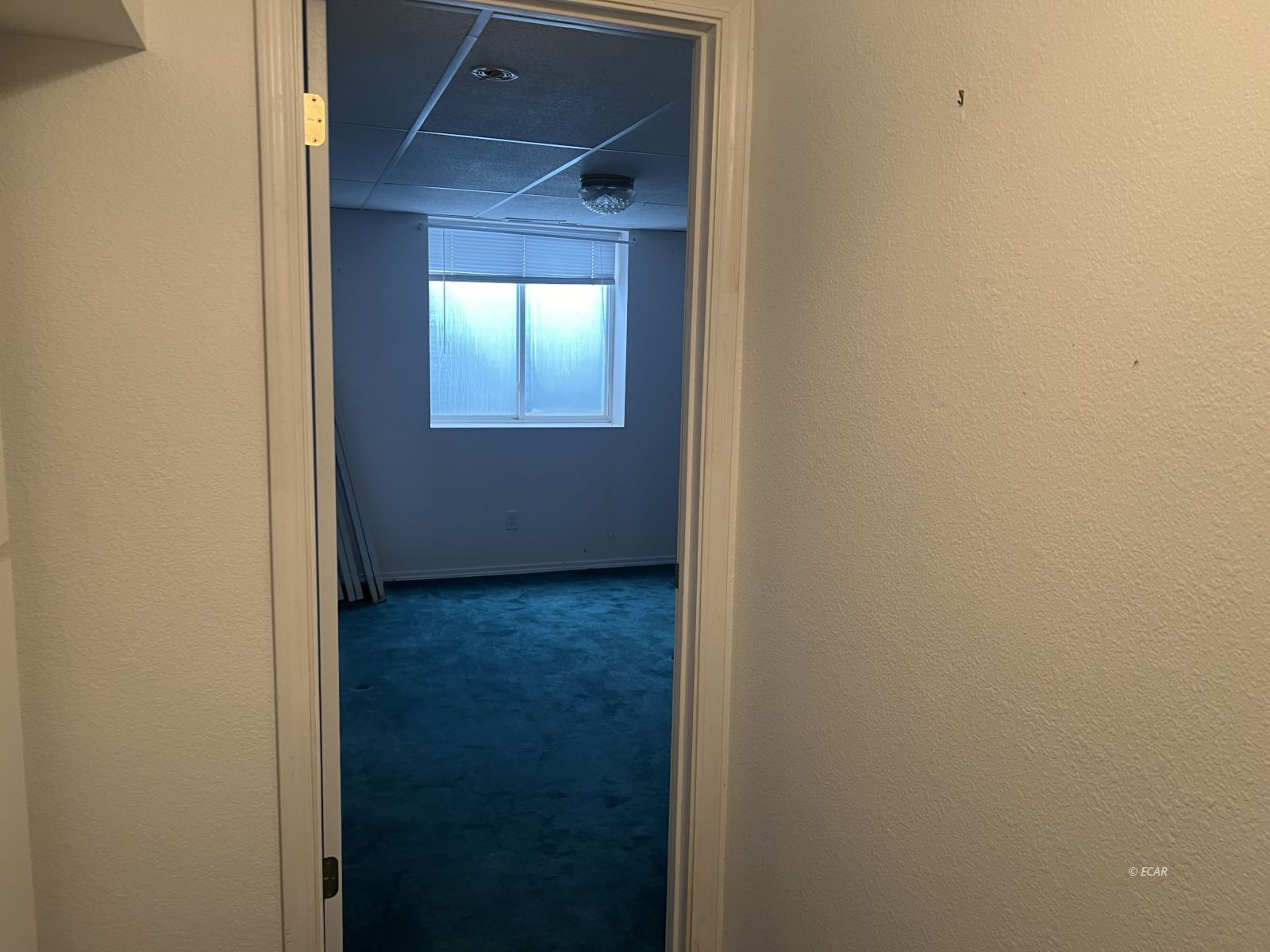 1877 Ruby View Drive Property Photo 3