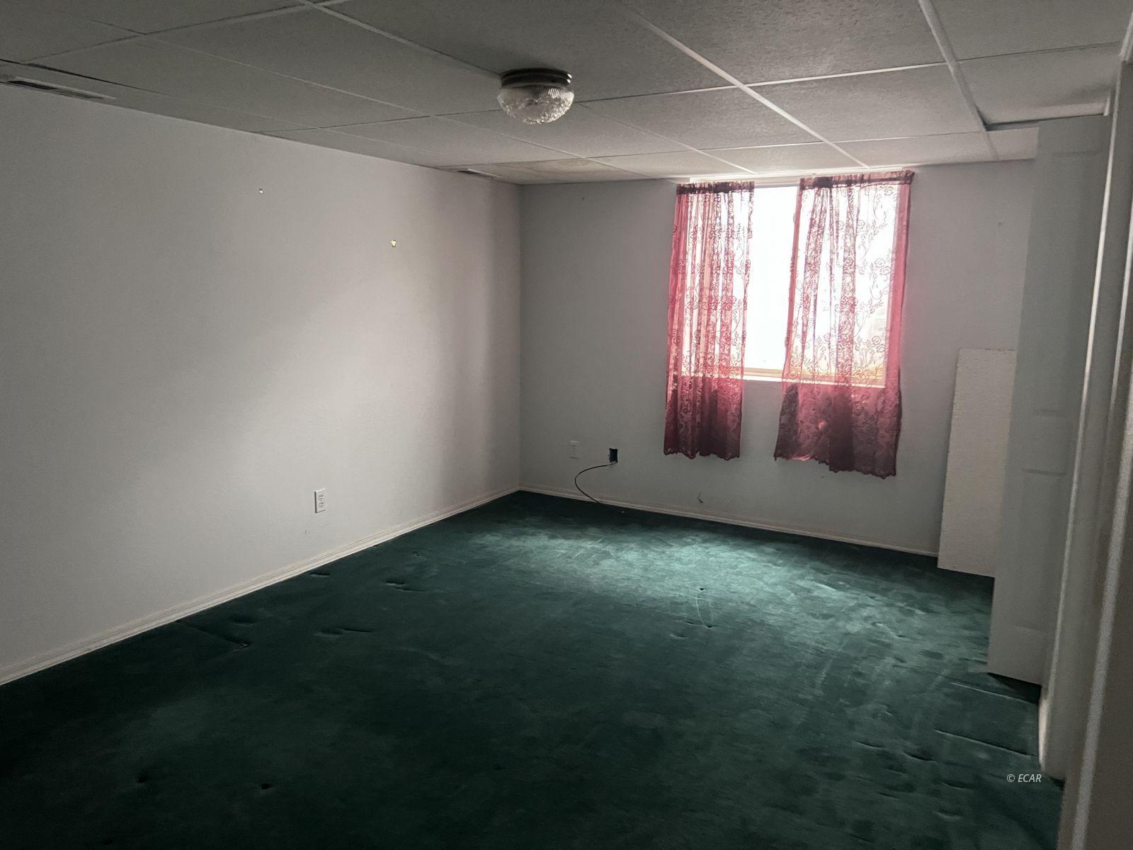 1877 Ruby View Drive Property Photo 6