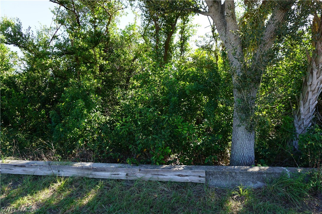 4661 Grassy Point Blvd Property Photo 12