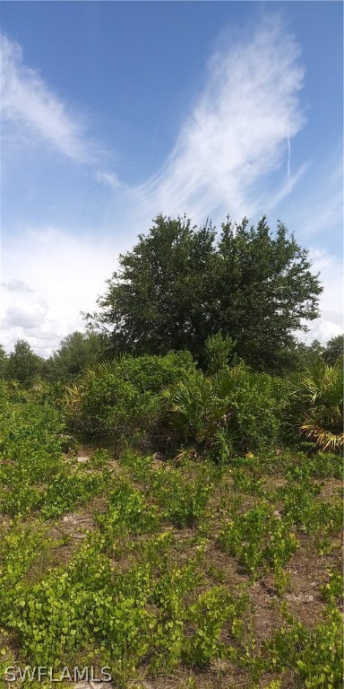 6006 Ida AVE N Property Photo 1