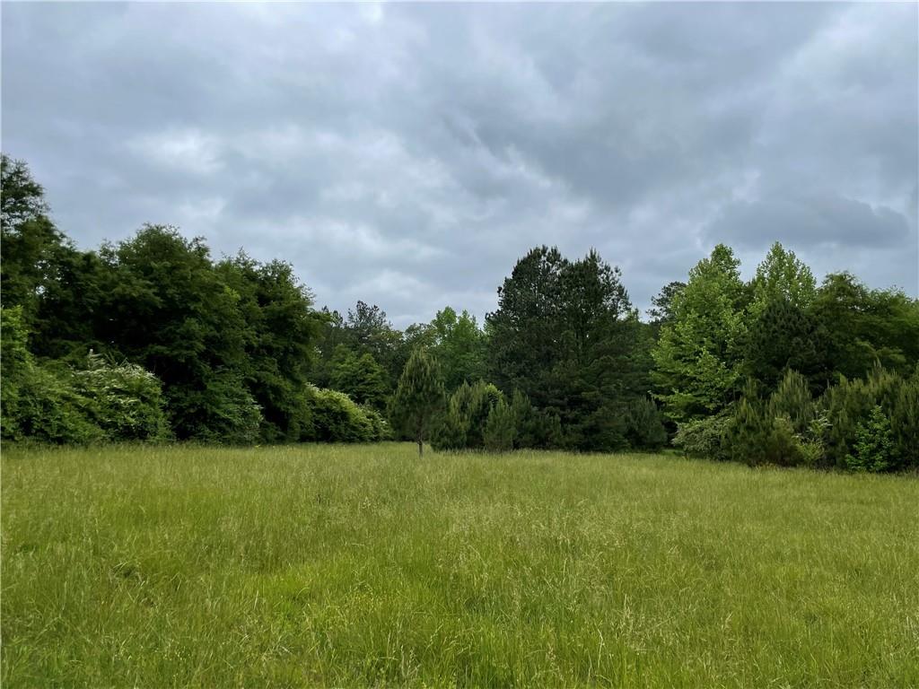 216 McMichen Road Property Photo 1