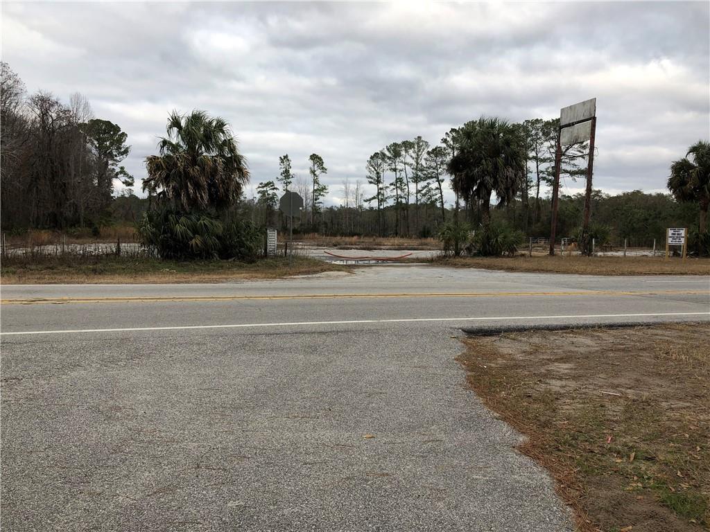 13687 Ga. Hwy. 251 Property Photo 1