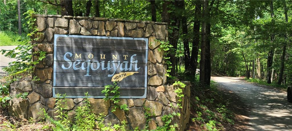 00 MT Sequoyah Road Property Photo 1
