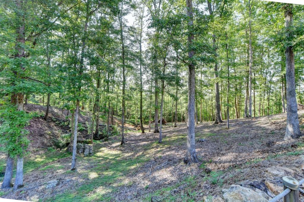 1021 Laurel Cove Property Photo 59