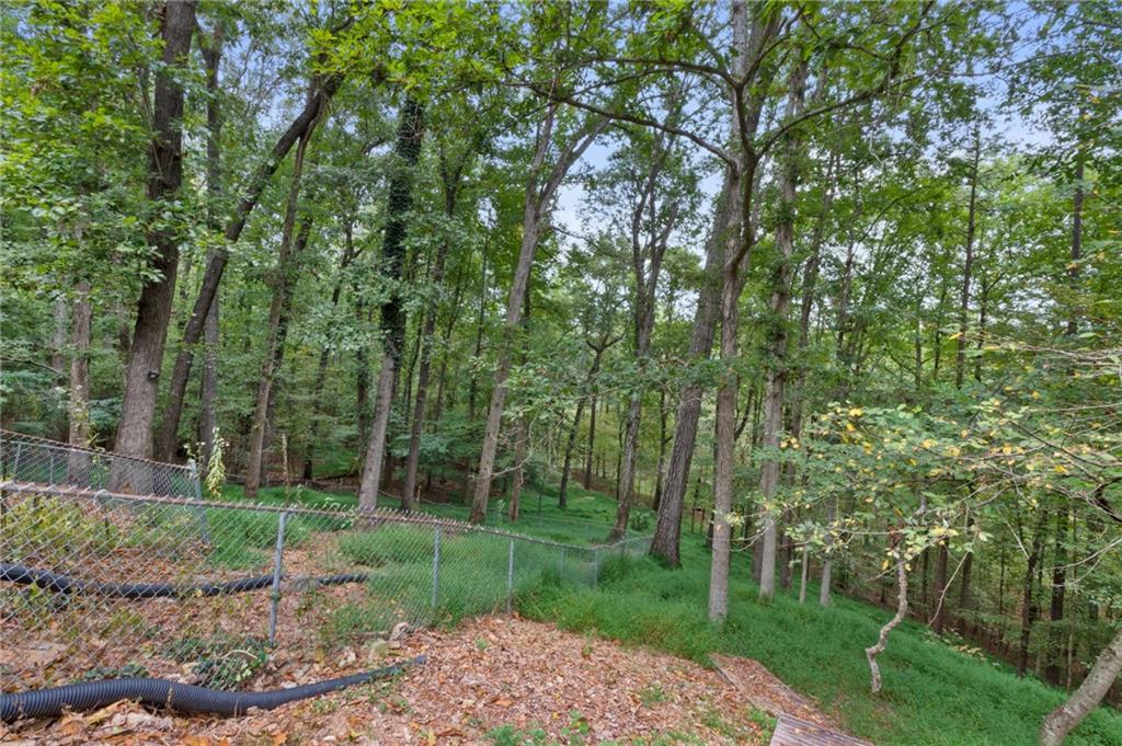 4513 Rivercliff Drive Sw Property Photo 37