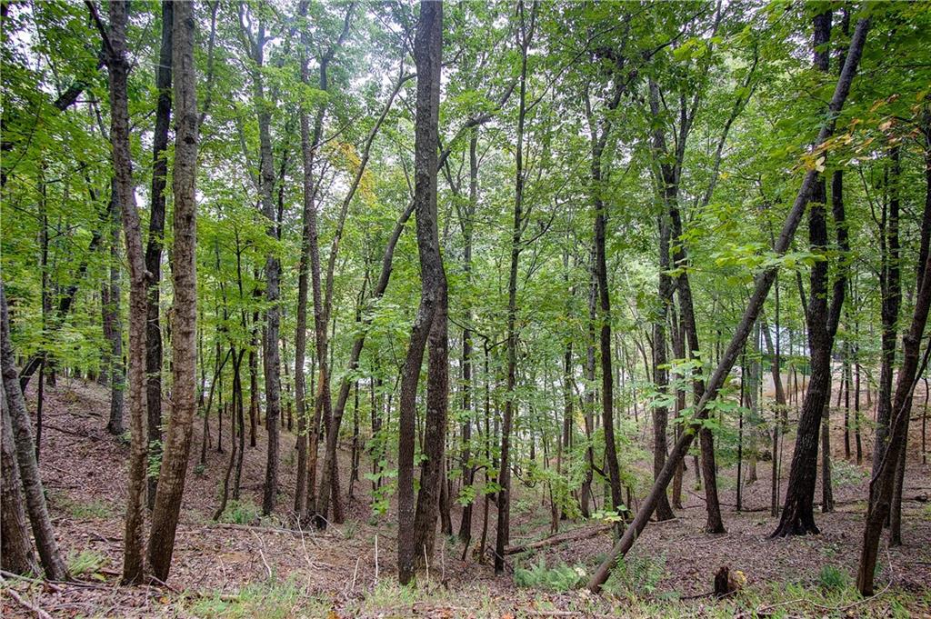73 Geyser Court Property Photo 4