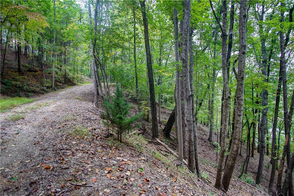 73 Geyser Court Property Photo 5