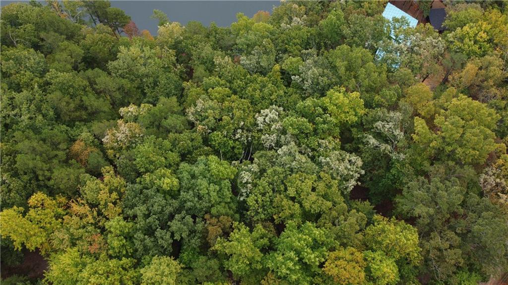 73 Geyser Court Property Photo 11