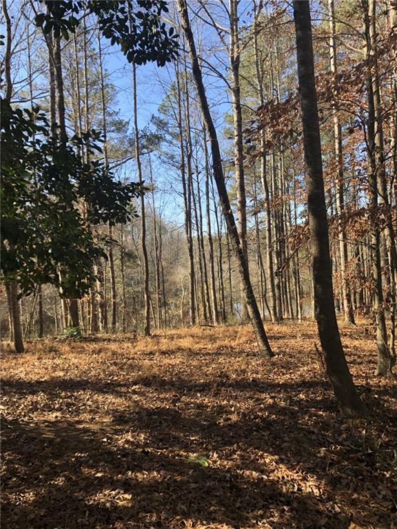 109 Wood Duck Landing Property Photo 2