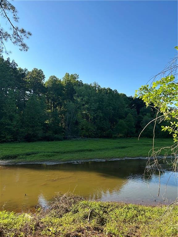 109 Wood Duck Landing Property Photo 6
