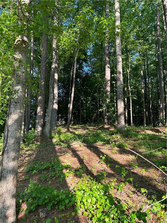 109 Wood Duck Landing Property Photo 8