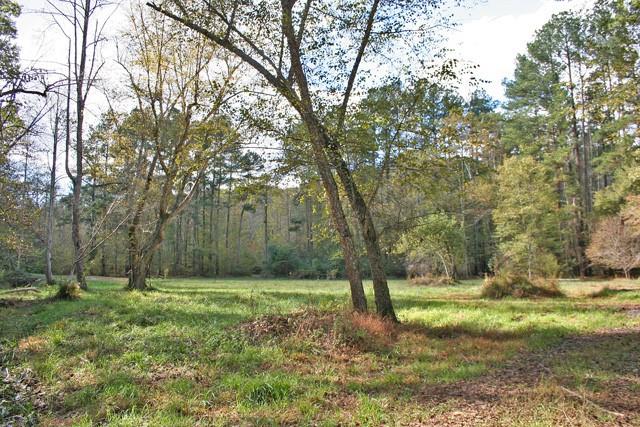 191+/- Acres Off Hwy. 136 Property Photo 12