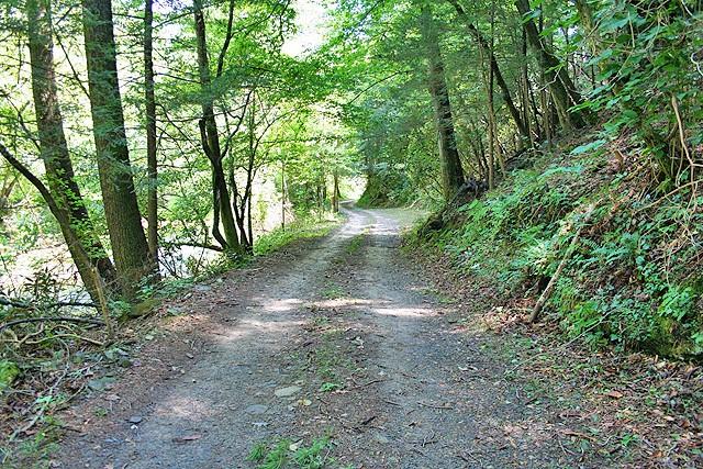 191+/- Acres Off Hwy. 136 Property Photo 16