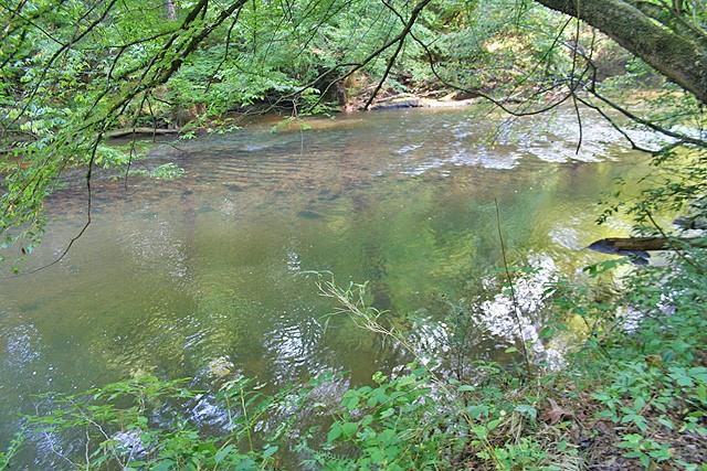 191+/- Acres Off Hwy. 136 Property Photo 19