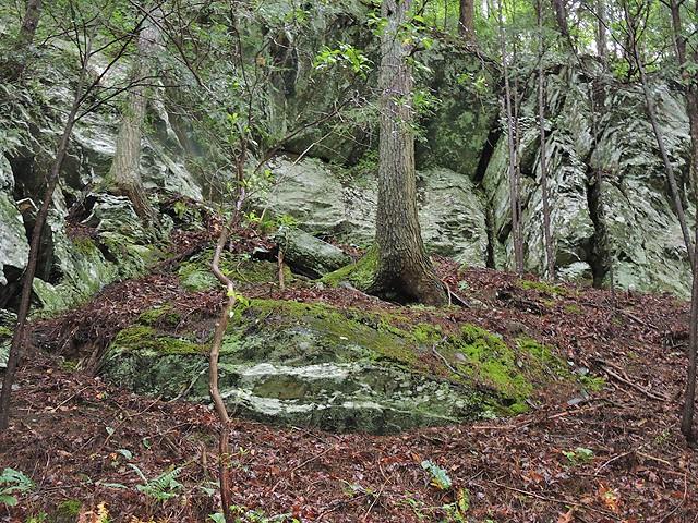 191+/- Acres Off Hwy. 136 Property Photo 20