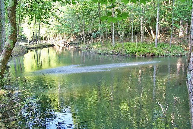 191+/- Acres Off Hwy. 136 Property Photo 23