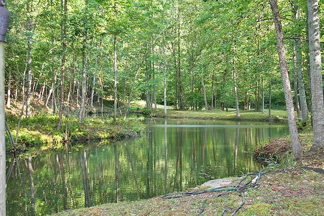 191+/- Acres Off Hwy. 136 Property Photo 24