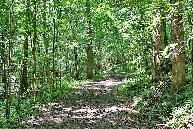 191+/- Acres Off Hwy. 136 Property Photo 25