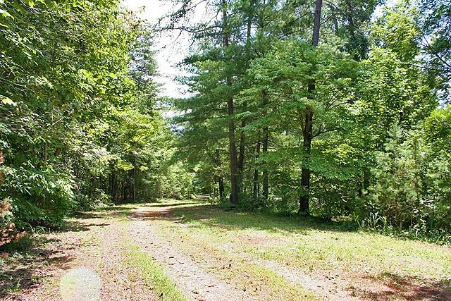 191+/- Acres Off Hwy. 136 Property Photo 27