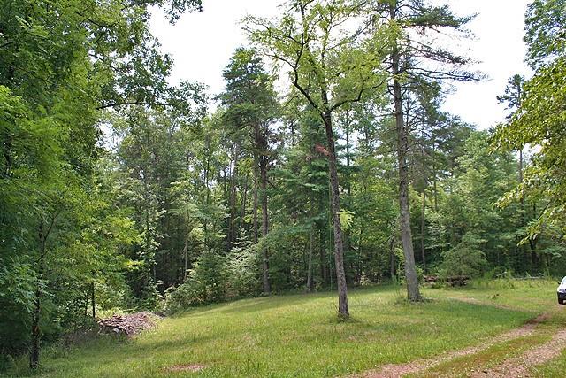 191+/- Acres Off Hwy. 136 Property Photo 29