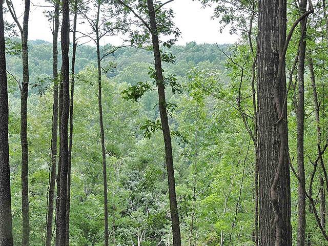 191+/- Acres Off Hwy. 136 Property Photo 30