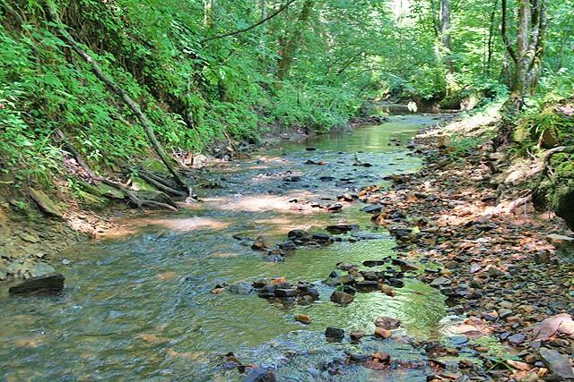 191+/- Acres Off Hwy. 136 Property Photo 32