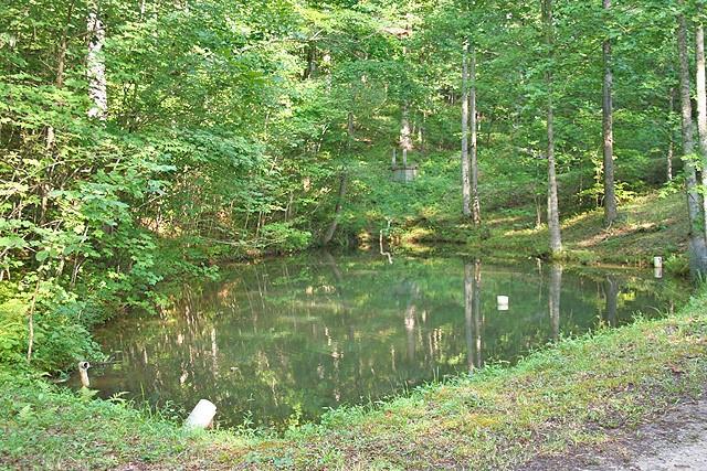 191+/- Acres Off Hwy. 136 Property Photo 33