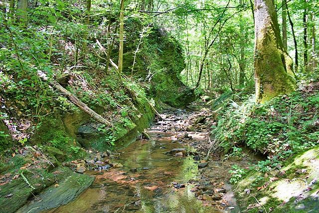 191+/- Acres Off Hwy. 136 Property Photo 34