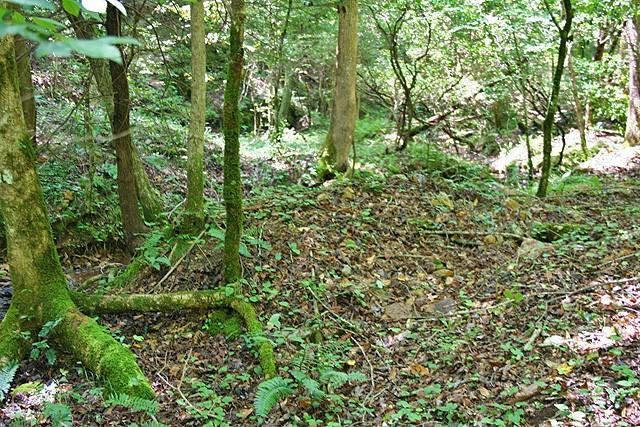 191+/- Acres Off Hwy. 136 Property Photo 36