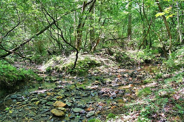 191+/- Acres Off Hwy. 136 Property Photo 38