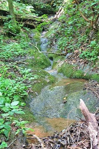 191+/- Acres Off Hwy. 136 Property Photo 39