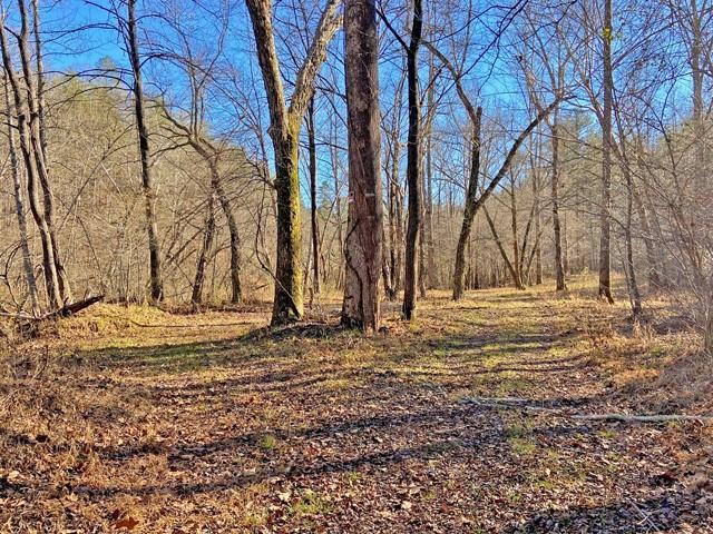 191+/- Acres Off Hwy. 136 Property Photo 45