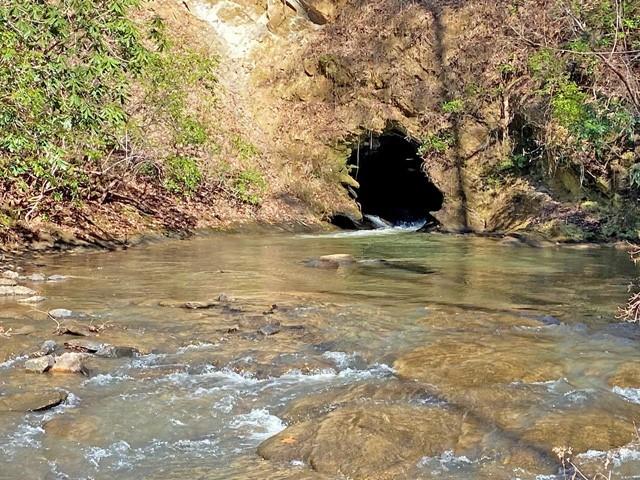 191+/- Acres Off Hwy. 136 Property Photo 46