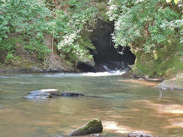 191+/- Acres Off Hwy. 136 Property Photo 57