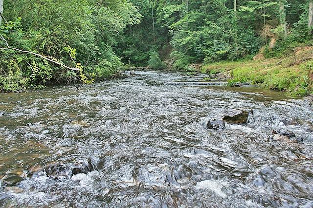 191+/- Acres Off Hwy. 136 Property Photo 59