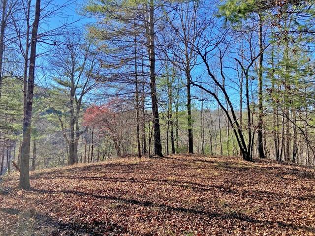 191+/- Acres Off Hwy. 136 Property Photo 60
