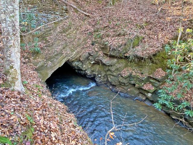 191+/- Acres Off Hwy. 136 Property Photo 62