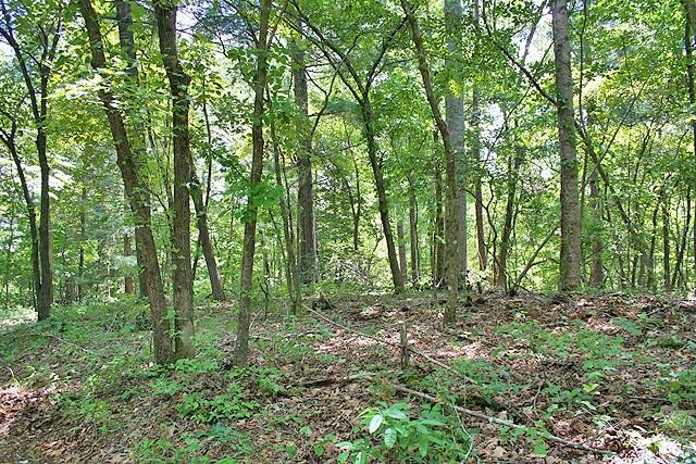 191+/- Acres Off Hwy. 136 Property Photo 63