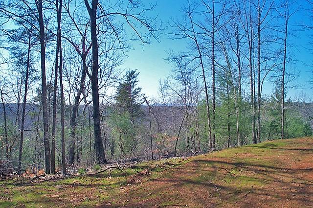 191+/- Acres Off Hwy. 136 Property Photo 64