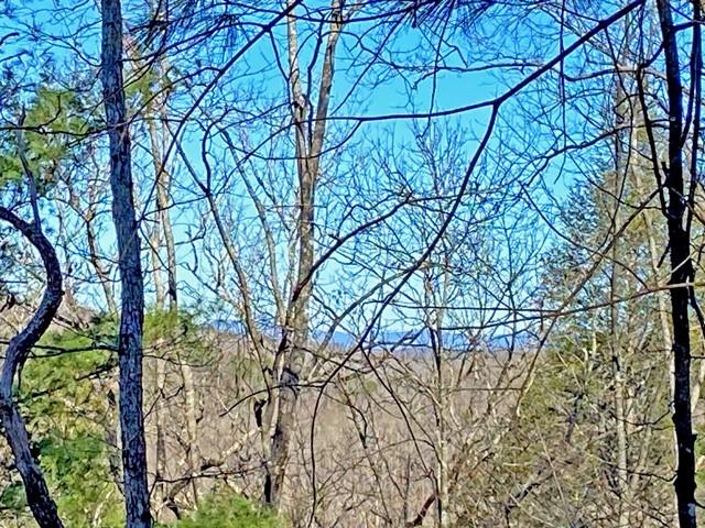 191+/- Acres Off Hwy. 136 Property Photo 65
