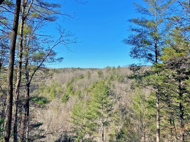 191+/- Acres Off Hwy. 136 Property Photo 66