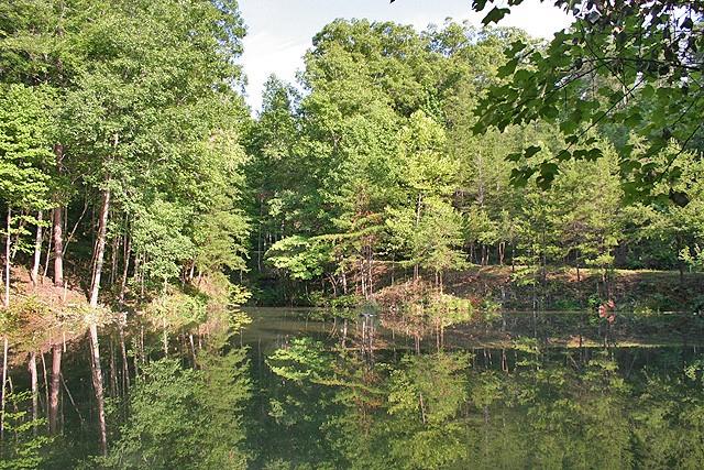 191+/- Acres Off Hwy. 136 Property Photo 70