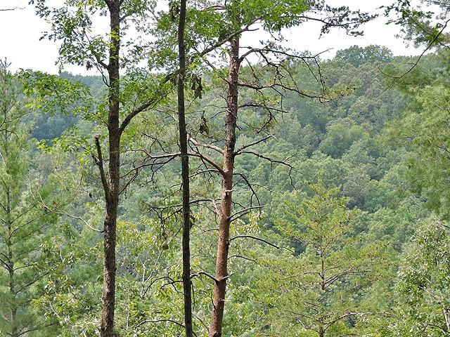 191+/- Acres Off Hwy. 136 Property Photo 75