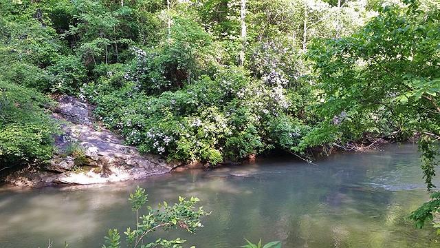 191+/- Acres Off Hwy. 136 Property Photo 76