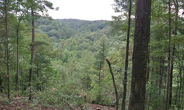 191+/- Acres Off Hwy. 136 Property Photo 81